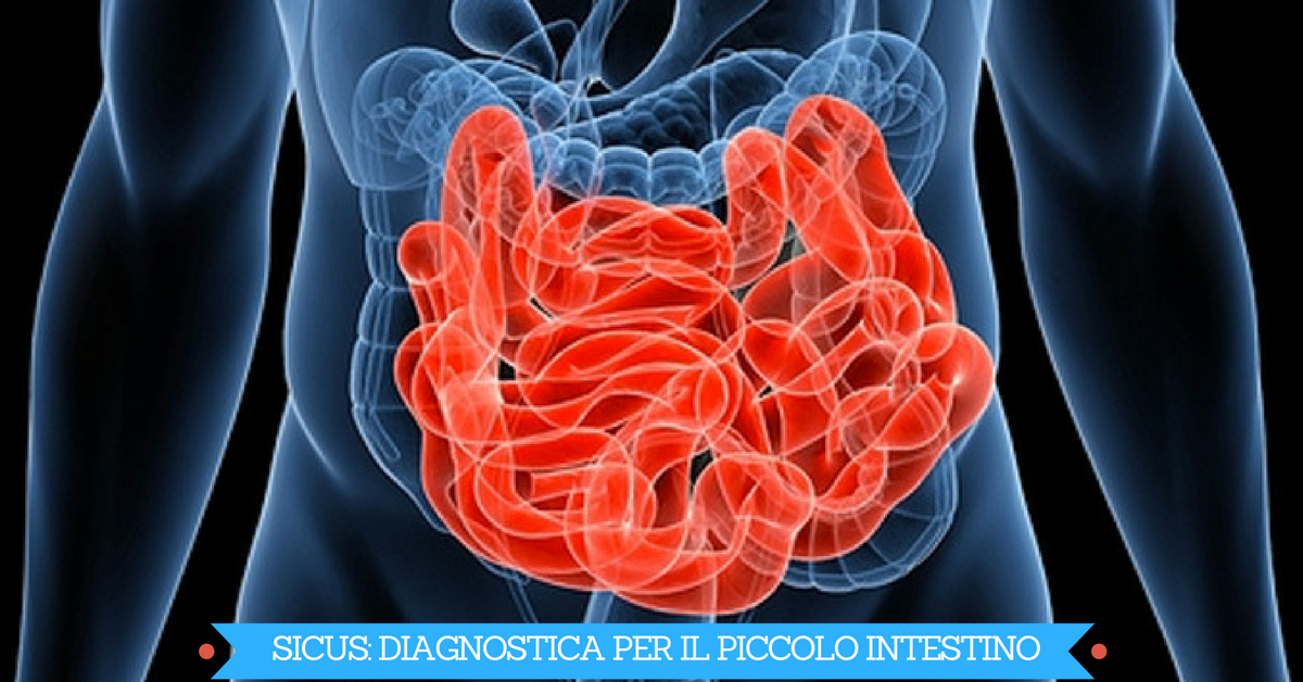 sicus-diagnostica-ecografia-piccolo-intestino-villa-mafalda
