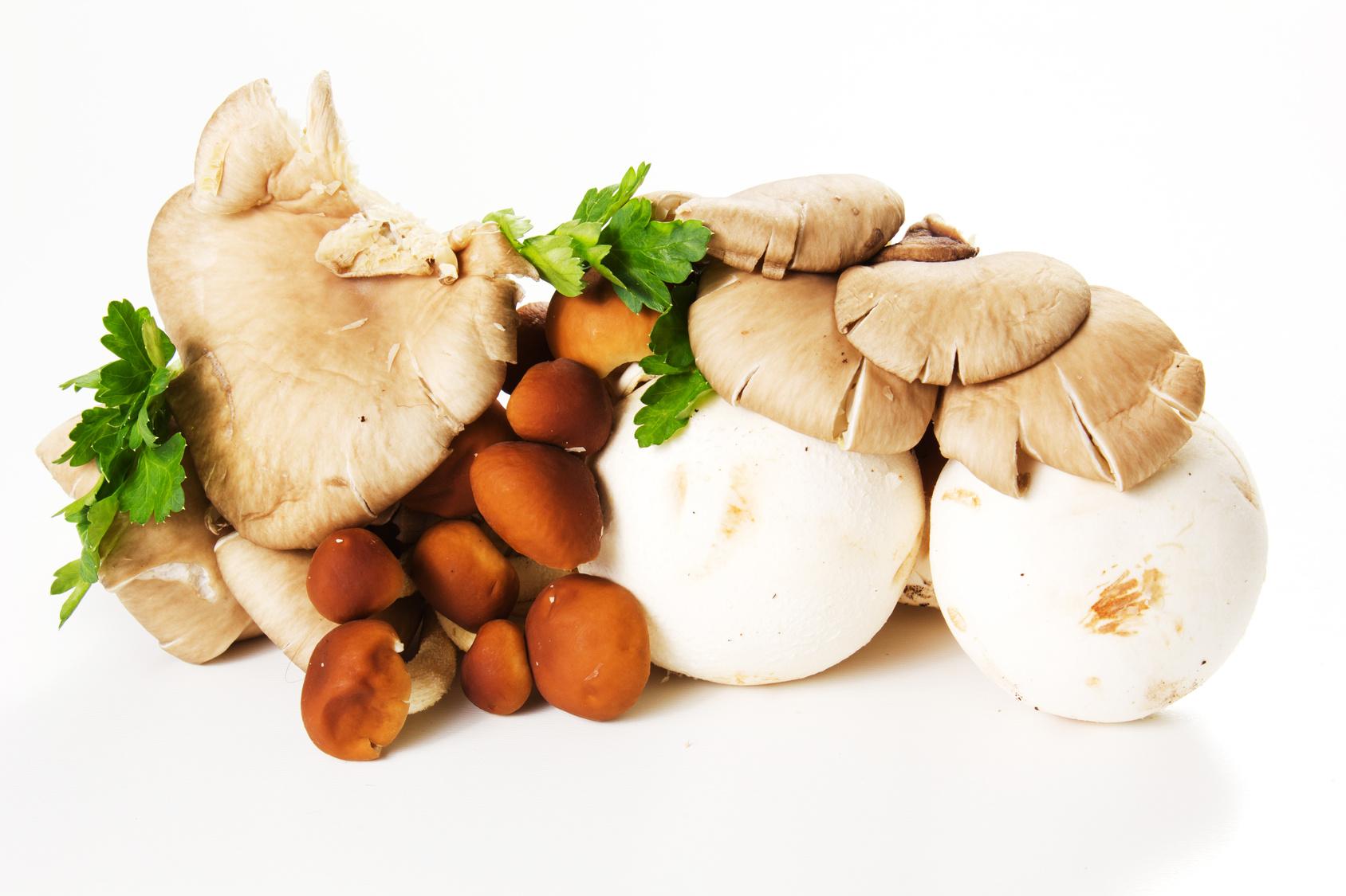 variety mushrooms isolated on a white background
